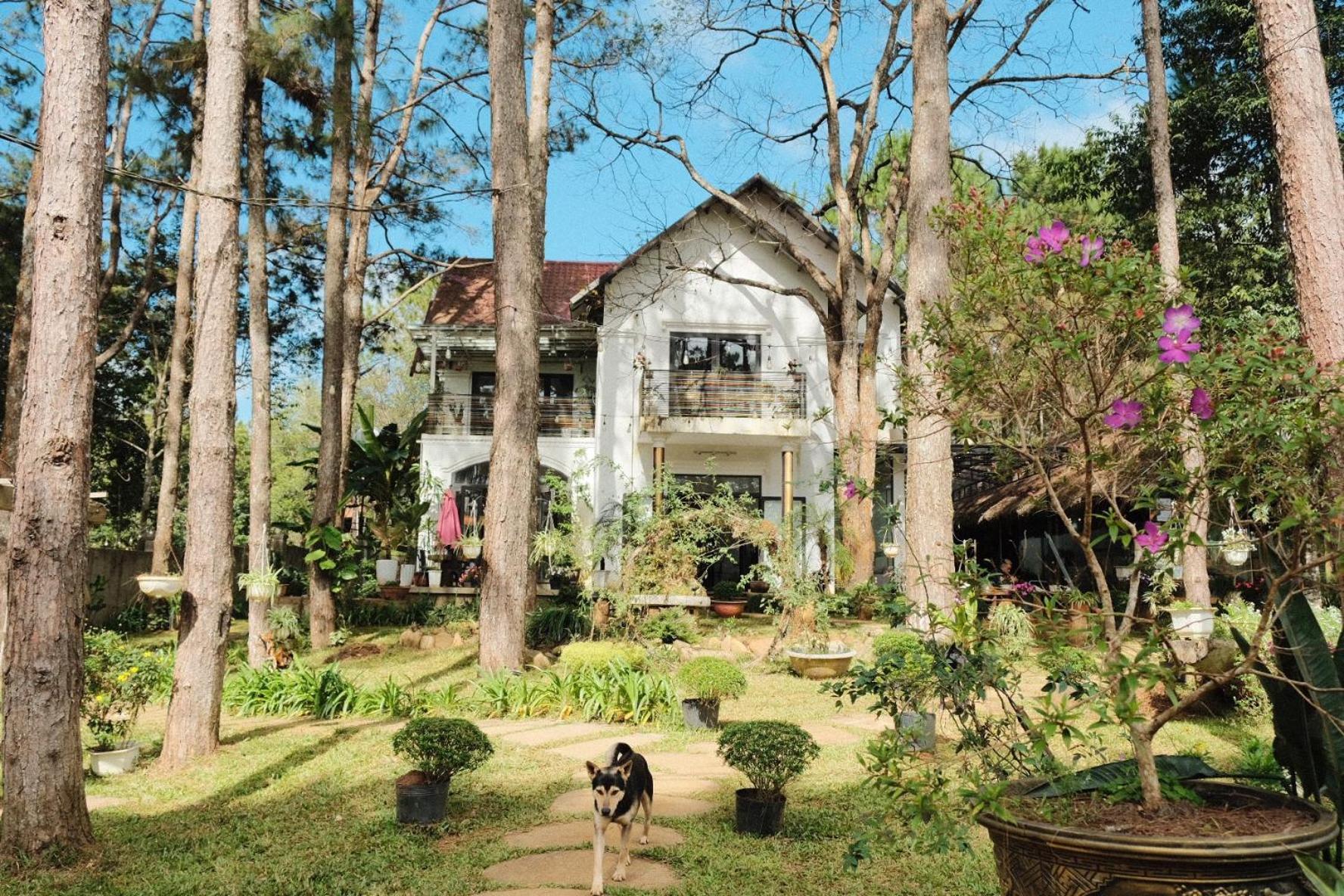 S'Nghe Homestay Mang Den Kon Von Kla Zewnętrze zdjęcie