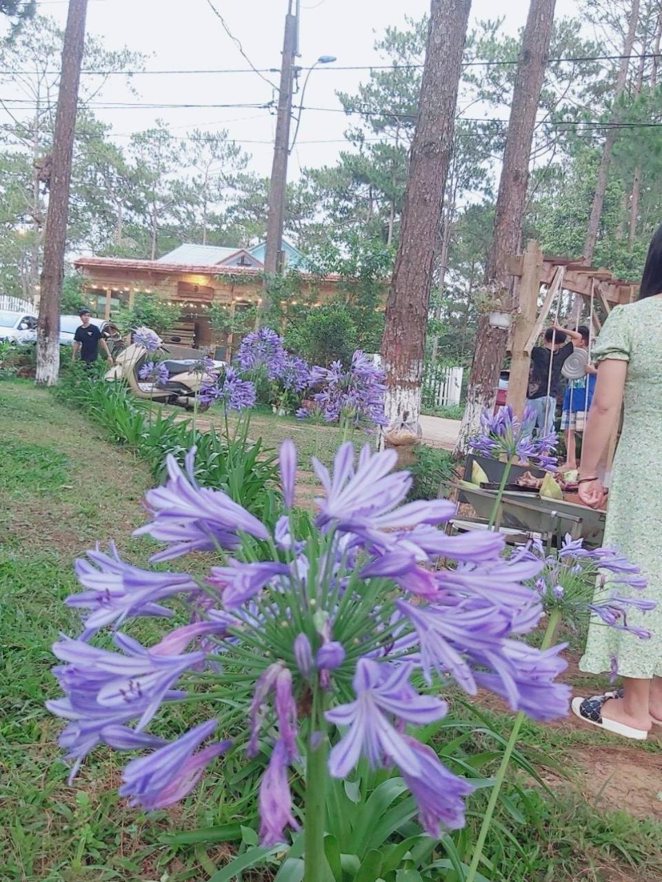 S'Nghe Homestay Mang Den Kon Von Kla Zewnętrze zdjęcie