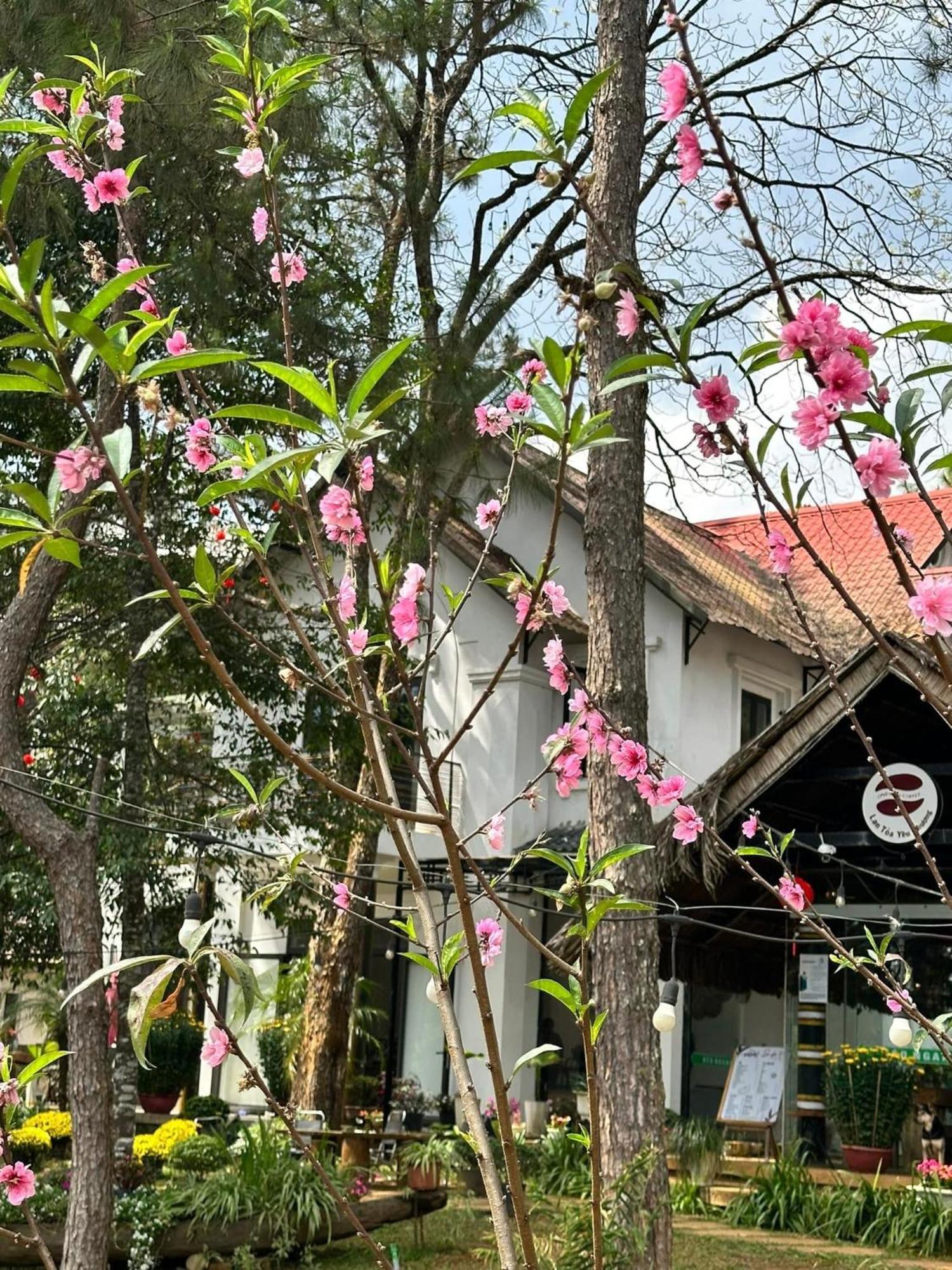 S'Nghe Homestay Mang Den Kon Von Kla Zewnętrze zdjęcie