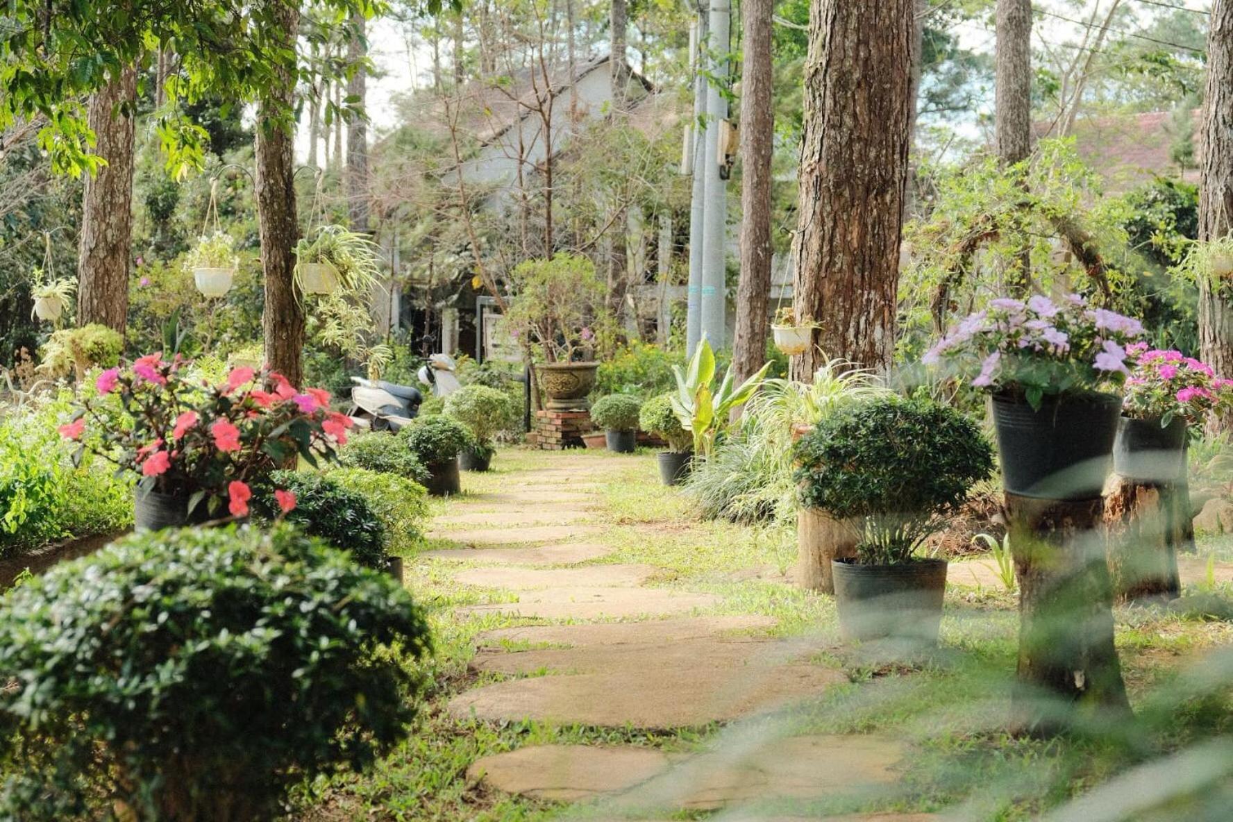 S'Nghe Homestay Mang Den Kon Von Kla Zewnętrze zdjęcie